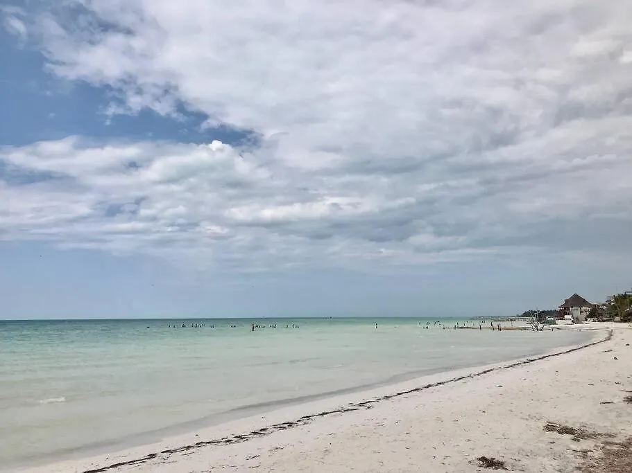 Apartmán Depa Casacalma. Zona Tranquila Y Techo De Palapa Isla Holbox 0*,