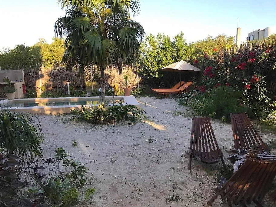Apartmán Depa Casacalma. Zona Tranquila Y Techo De Palapa Isla Holbox Mexiko