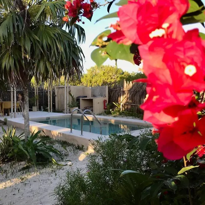 Depa Casacalma. Zona Tranquila Y Techo De Palapa Apartment Isla Holbox
