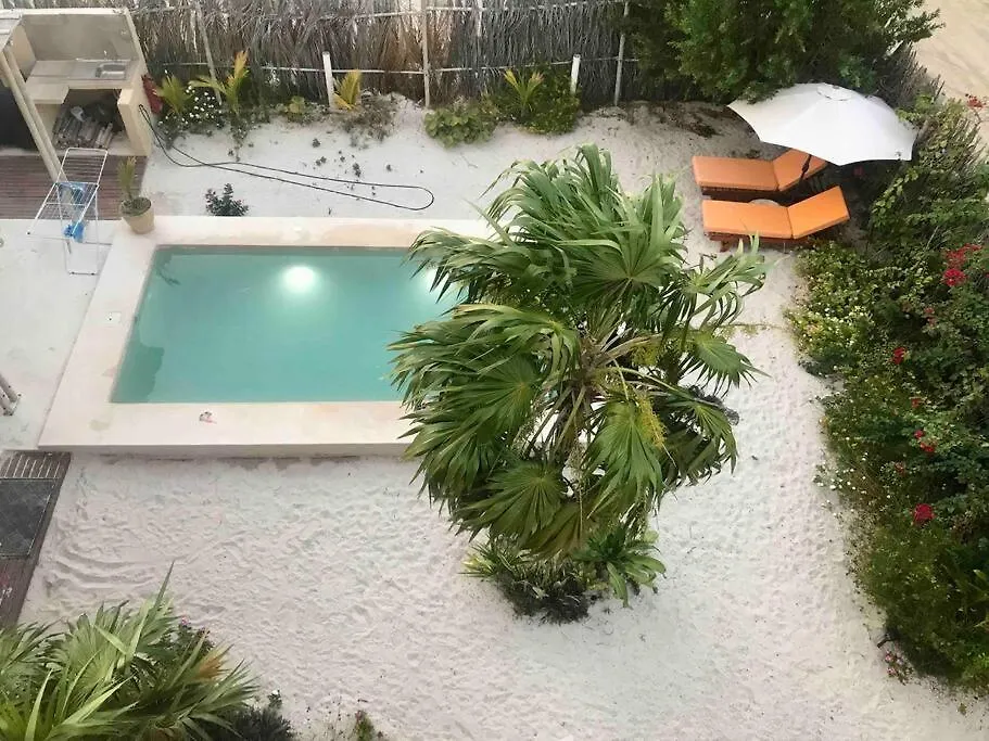 Depa Casacalma. Zona Tranquila Y Techo De Palapa Apartment Isla Holbox