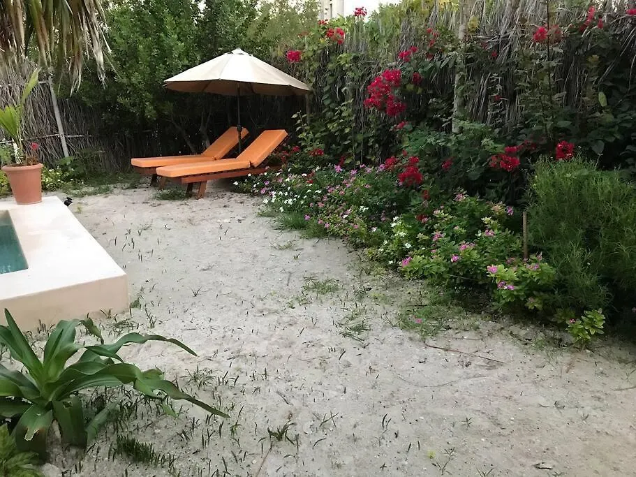 Depa Casacalma. Zona Tranquila Y Techo De Palapa Apartment Isla Holbox