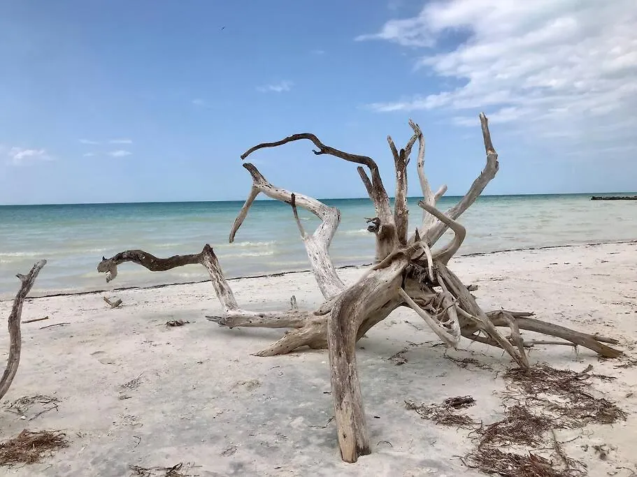 Depa Casacalma. Zona Tranquila Y Techo De Palapa Apartment Isla Holbox