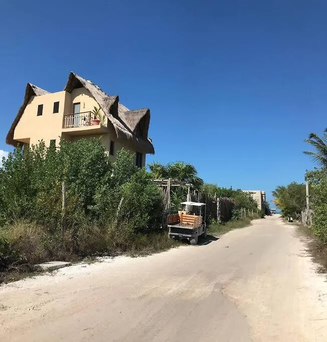 Depa Casacalma. Zona Tranquila Y Techo De Palapa Apartment Isla Holbox Mexico